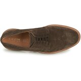 Geox Čevlji Derby U GUBBIO A Siva | Shoptok.si