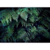 Artgeist Fototapeta In The Thicket, 450x315cm | Shoptok.si