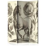 Artgeist Paravan Horse, 3-Delni, Dvostranski | Shoptok.si
