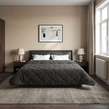  Poletna odeja Antracit 220 x 240 cm Mikrofibra in Teddy flis, (5000284479) | Shoptok.si