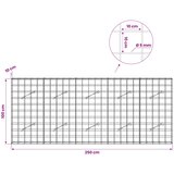  Gabion s žicom debljine 5 mm i mrežom 10x10 cm 250x10x100 cm | shoptok.hr