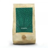 Essential Foods essential stamina - 2.5 kg cene