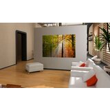  Slika - A calm autumn forest 60x40 | shoptok.hr