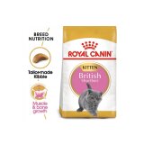 Royal Canin suva hrana za mačiće Kitten British Shorthair 2kg Cene