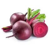 Cvekla