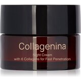 Collagenina Grade 1 Night Cream učvrstitvena nočna krema s kolagenom 50 ml | Shoptok.si