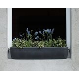 rephorm Okensko korito - cvetlična škatla "Windowgreen" - Grafit (antracit) Cene