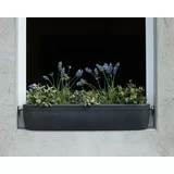 rephorm Okensko korito - cvetlična škatla "Windowgreen" - Grafit (antracit)