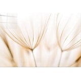 Wallity Staklena slika 100x70 cm Fluff - | shoptok.hr