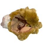  Rumeni lev | Shoptok.si