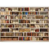  Foto tapeta - Home library 500x350 | shoptok.hr