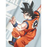 name it Majica 'NKMFRITZ DRAGONBALL' pastelno plava / ciglasto crvena / crna / bijela | shoptok.hr
