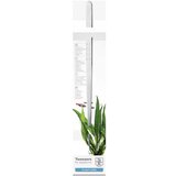 TROPICA pinceta Cene