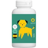 Apipet Skin 60 kapsula Cene