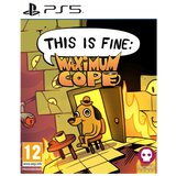  PS5 This is Fine: Maximum Cope Cene