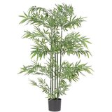  BAMBUS 150CM U SAKSIJI PVC BIZZOTTO Cijene