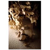  Slika - Humming Seashell (1 Part) Vertical 80x120 | shoptok.hr