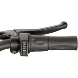Beneo Otroški električni štirikolesnik E-Quad Anaconda VX 1000W 36V12Ah litij Zelena | Shoptok.si