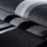 Ayyildiz Carpets Temno siva preproga 200x290 cm Parma – | Shoptok.si