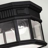 Elstead Lighting zunanja stropna svetilka | Shoptok.si