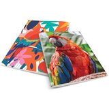 Rucksack Only Zvezek A4 Papagaj, mali karo, 52 listov | Shoptok.si