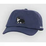 Animal Dad Kapa s šiltom navy cat