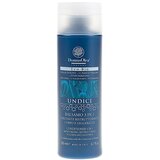 Domus Olea Toscana undici 3u1 regenerator Cijene