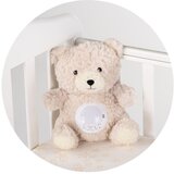 Chipolino igračka s projektorom i glazbom Bear beige | shoptok.hr