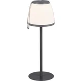  Trio LED namizna svetilka Domingo (2 W, toplo bela, 150 lm, IP44, višina 35 cm)