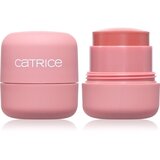 Catrice My Core Essentials Blushed & Beautiful multi stik za obraze i oči C02 Peak Power Cene