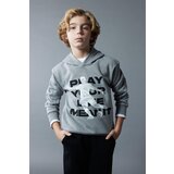 Defacto Boy's Hooded Printed Thick Sweatshirt | ePonuda.com