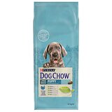 Dog Chow Puppy Large Ćuretina, 14 kg Cene