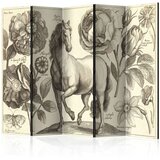  Paravan u 5 dijelova - Horse II [Room Dividers] 225x172 | shoptok.hr