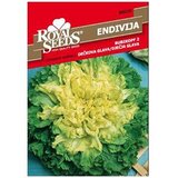  Endivija Dječija Glava Royal Seeds Cijene