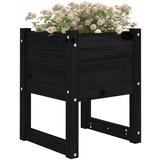 vidaXL Visoka greda črna 40x40x52,5 cm trdna borovina | Shoptok.si