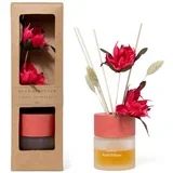 Osvežilec zraka Reed Diffuser 100ml+palčke / rdeče vino / steklo, les, (5000198007)
