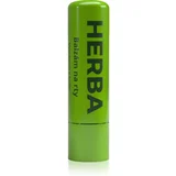 Herbadent Herba balzam za usne Herbal 5 ml