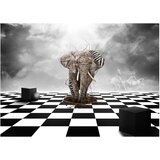  Tapeta - Escape from Africa 350x270 | shoptok.hr