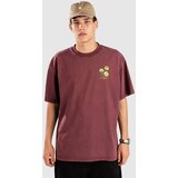Monet Skateboards Flower Shop Boxy T-shirt vintage mahog | Shoptok.si