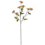Dekorativna GRANA LANTANA 66CM PVC BIZZOTTO u