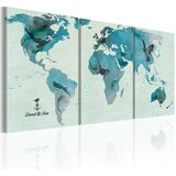  Slika - Ornithological map of the World 120x60 Cijene