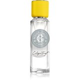 Roger & Gallet Cologne Twist Eau de Cologne kolonjska voda za moške 30 ml Cene