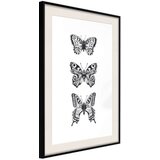  Poster - Butterfly Collection III 30x45 | shoptok.hr