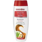 Subrina šampon za farbanu kosu colour&shine/ 300 ml cene