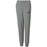 Puma Donji dio trenerke ESS Logo Pants TR cl B