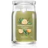 Yankee Candle Sage & Citrus dišeča sveča Signature 567 g Cene