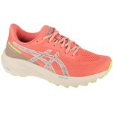 Asics GT-1000 13 TR Ružičasta | shoptok.hr