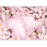  Foto tapeta - Spring Cherry Blossom 400x280 | shoptok.hr