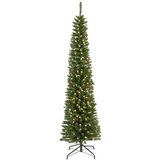 Lemon Planet Novogodišnja jelka Pencil Pine sa lampicama 210cm Everlands 670235 | Eponuda.com