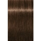 Schwarzkopf igora Royal - 5-65 svetlo rjava čokoladno zlata, 60 ml | Shoptok.si